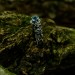 Twisted Silver Ring with Aquamarine Sparkle