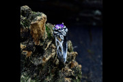 Unique Womens Wedding Ring with Woodland Branch, Elven Amethyst Branch Wedding Ring for Her, Dainty Celtic Floral Ring