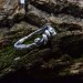 Nature-Inspired Silver Ring with Intricate Leaf Motif