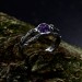 Gothic Silver Ring with Enchanting Amethyst