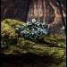 Enchanted Gothic Silver Ring with Emerald Vines