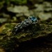 Twisted Silver Ring with Aquamarine Sparkle