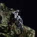 Twisting Vine Gothic Ring with Radiant Garnet
