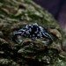 Gothic Obsidian Ring with Enchanted Floral Motif