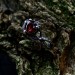 Heart of Ember: Gothic Sterling Silver Ring with Fiery Garnet