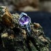 Gothic Ring with Amethyst and Intricate Silver Design