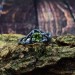 Enchanted Gothic Peridot Ring with Leaf Motif