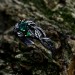 Exquisite Silver Ring with Emerald and Nature Motifs