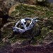 Gothic Skeleton Hand Ring - Unique Silver Statement