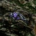 Silver Gothic Ring Adorned with Radiant Amethyst