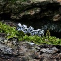 Exquisite Celtic Knot Ring in Polished Silver