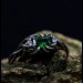 Handcrafted Emerald Ring with Dark Forest Design