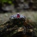 Gothic Garnet Ring with Majestic Flame Motif