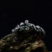 Gothic Silver Ring with Emerald and Floral Design