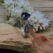 Elegant Gothic Ring with Sapphire and Intricate Design