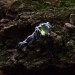 Twilight Silver Ring with Emerald Glow