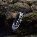 Vine of Eternity: Twisted Gothic Band Ring