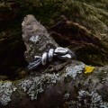 Organic Silver Ring with Unique Branch Design