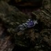 Gothic Amethyst Ring with Intricate Twisting Design
