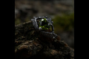Dark Fantasy Ring Engagement, Silver Mystical Fairy Wedding Ring with Peridot, Unique Gothic Style Ring with Nature Theme Band