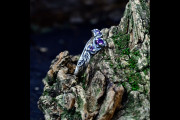 Nature Inspired Unique Sapphire  Engagement Ring, Self Love Promise Ring for Women, Woodland Branch Ring, Silver Elven Jewelry