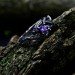 Whisper of Vines: Gothic Sterling Silver Ring with Amethyst Accent
