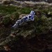 Waves of Midnight: Gothic Sterling Silver Ring with Sapphires