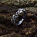 Exquisite Gothic Silver Ring with Garnet and Twisted Design