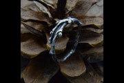 Silver Fairy Elven Ring Women, Small Vine Branch and Leaf Ring, Witchy Willow Braid Branch Ring, Unique Viking Forest Jewelry