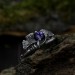 Gothic Silver Ring with Amethyst and Leaf Motif