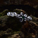 Enchanting Silver Ring with Elegant Emerald Gemstone| Unique and Unusual Engagement Ring for Her