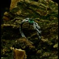 Gothic Emerald Ring with Enchanted Branch Design