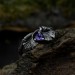 Gothic Silver Ring with Amethyst and Leaf Motif