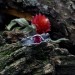 Gothic Ruby Ring with Enchanted Twisting Motif