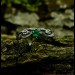 Gothic Emerald Ring with Enchanted Branch Design