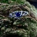 Twilight Crown: Gothic Sterling Silver Ring with Sapphire Gemstone