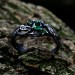 Exquisite Silver Ring with Emerald and Nature Motifs