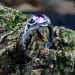 Handcrafted Silver Ring Featuring a Radiant Amethyst