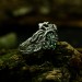 Enchanted Grove: Gothic Emerald Ring of Nature's Elegance