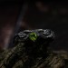 Elegant Gothic Ring with Peridot Gemstone