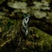 Elegant Silver Ring with Twisting Vines and Emerald Gemstone
