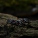 Gothic-Inspired Silver Ring Set with Red Garnet Gemstones