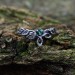 Delicate Silver Ring with Emerald and Vine Design