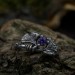 Gothic Silver Ring with Amethyst and Leaf Motif