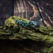 Enchanted Gothic Silver Ring with Emerald Vines