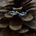 Branch of Serenity: Sterling Silver Nature-Inspired Ring