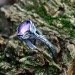 Gothic Ring with Amethyst and Intricate Silver Design
