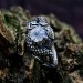 Bold Gothic Ring with Moonstone and Claw Motif