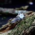 Elegant Silver Ring with Moonstone - Capturing Lunar Grace