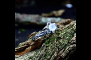 Moonstone Witch Engagement Ring, Dark Fairy Inspired Moonstone Ring, Silver Mythical Woman Wedding Ring with Nature Theme
